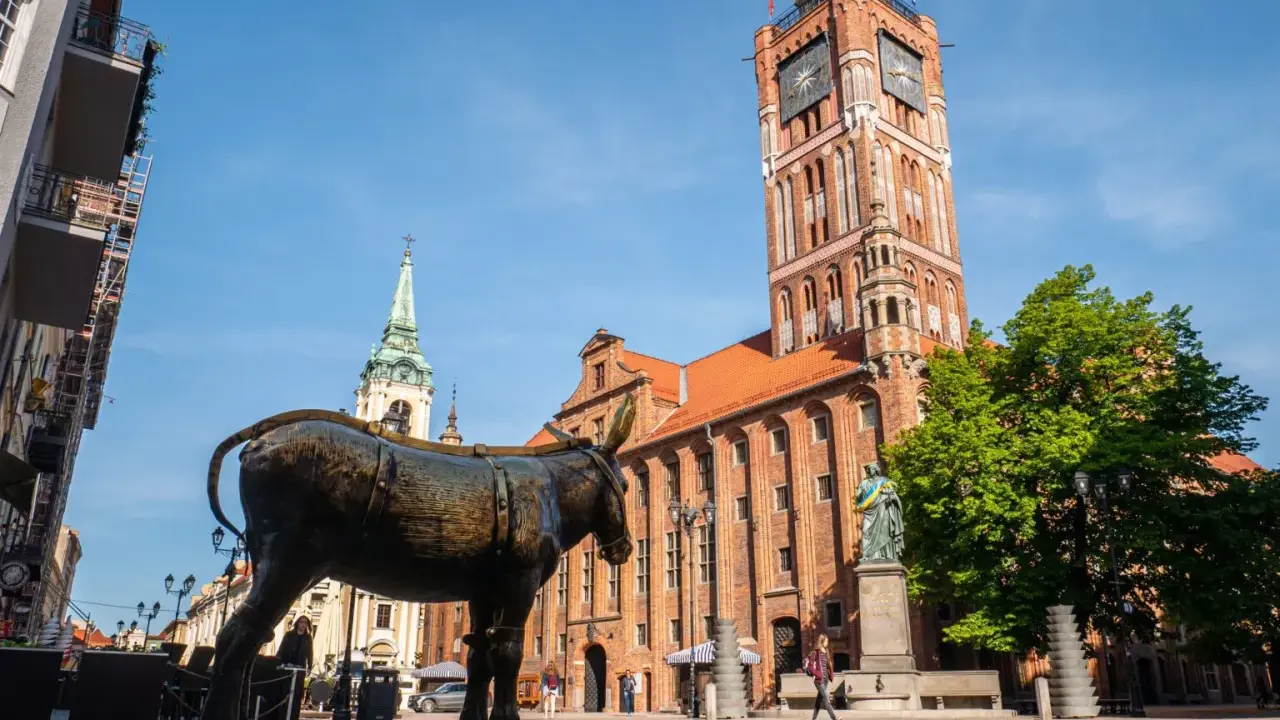 Pomysł na co w Toruniu na weekend? Zobacz Rynek Staromiejski z pomnikiem osiołka i Ratuszem Staromiejskim.
