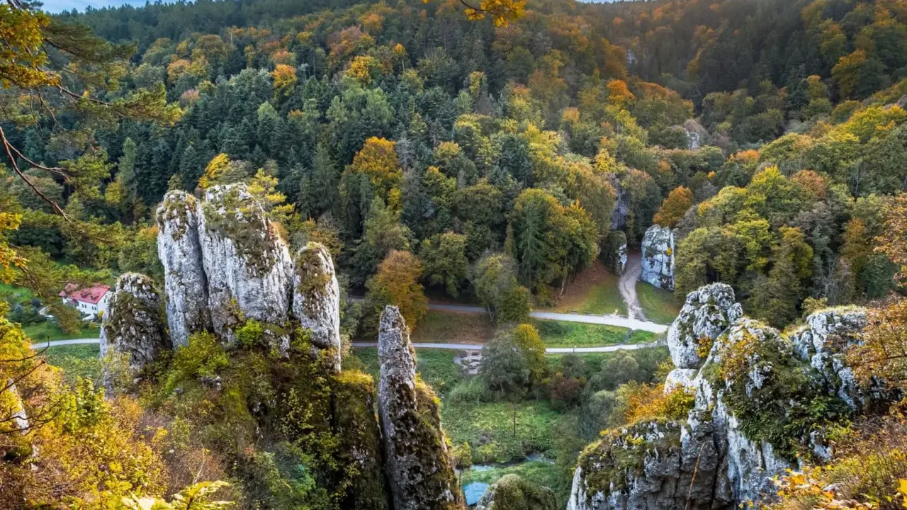 Ojcowski Park Narodowy w jesiennej odsłonie. Wapienne skały i kolorowy las tworzą malowniczy krajobraz. Ciekawostki przyrodnicze czekają na odkrycie.