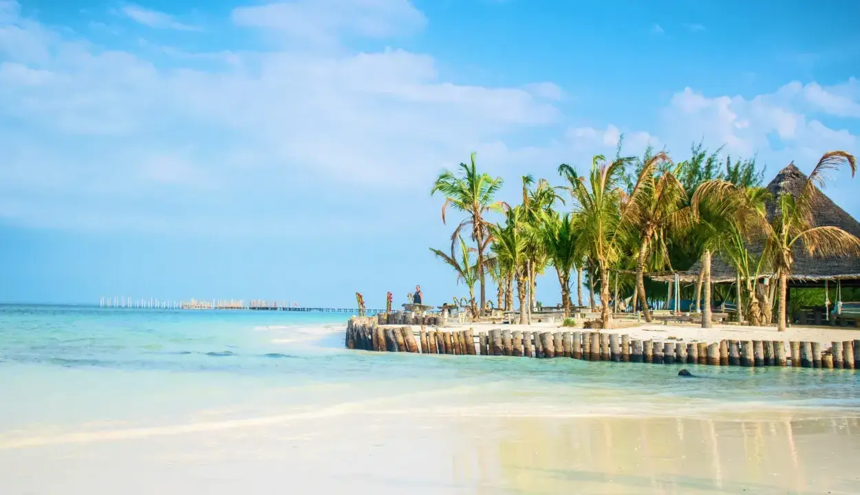 Piękna plaża z palmami i drewnianym molo. Zastanawiasz się, ile się leci na Zanzibar? To raj na ziemi!
