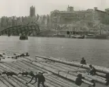 Szczecin: Ponad 350 Żabek! Jak miasto stało się żabkowym potentatem?