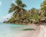 Rajska plaża z palmami i krystalicznie czystą wodą. Zastanawiasz się, ile się leci do Tajlandii, by poczuć taki spokój?