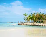 Piękna plaża z palmami i drewnianym molo. Zastanawiasz się, ile się leci na Zanzibar? To raj na ziemi!