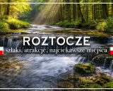 Roztocze: szlaki, atrakcje, najciekawsze miejsca. Malowniczy potok w lesie, promienie słońca przebijające się przez drzewa.