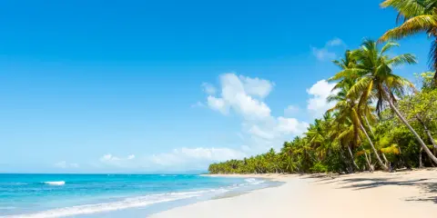 Rajskie plaże z palmami i turkusową wodą, idealne na wakacje na wyspach karaibskich.