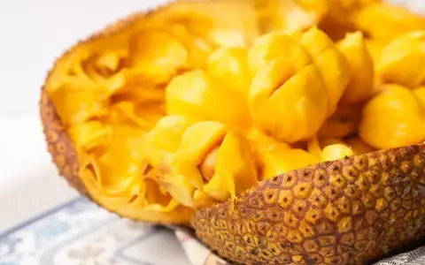 Odkryj smak jackfruit po polsku! Soczyste, żółte miąższowe segmenty owocu w skorupie.