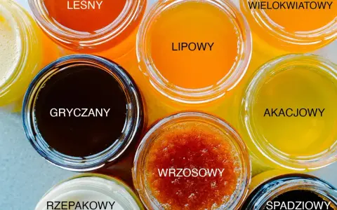Siedem słoików z różnymi rodzajami miodów: leśny, gryczany, lipowy, wrzosowy, wielokwiatowy, akacjowy i spadziowy.
