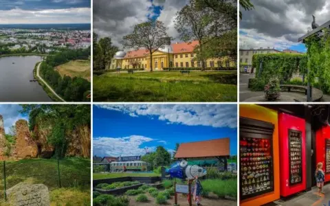 Stawy Milickie atrakcje: Co warto zobaczyć w Dolinie Baryczy?