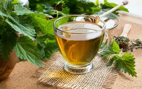 Szklanka aromatycznego naparu z pokrzywy, obok świeże liście i susz. Idealny na zdrowie!
