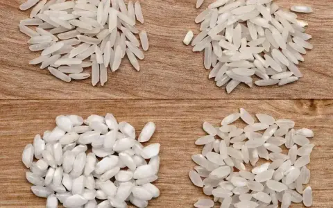 Cztery rodzaje ryżu na drewnianym tle. Wybór odpowiedniego ryżu to klucz do idealnego risotto.