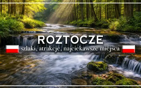 Roztocze: szlaki, atrakcje, najciekawsze miejsca. Malowniczy potok w lesie, promienie słońca przebijające się przez drzewa.