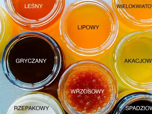Siedem słoików z różnymi rodzajami miodów: leśny, gryczany, lipowy, wrzosowy, wielokwiatowy, akacjowy i spadziowy.