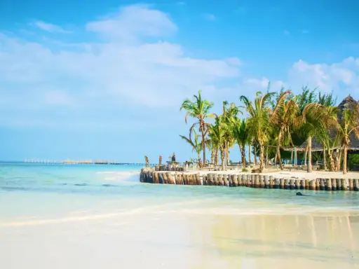 Piękna plaża z palmami i drewnianym molo. Zastanawiasz się, ile się leci na Zanzibar? To raj na ziemi!