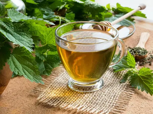 Szklanka aromatycznego naparu z pokrzywy, obok świeże liście i susz. Idealny na zdrowie!
