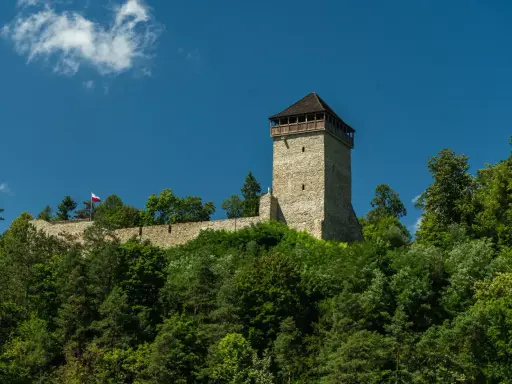 Kamienny zamek na wzgórzu, otoczony zielenią, z polską flagą powiewającą na wietrze. To malowniczy widok na Muszynę-Zdrój.