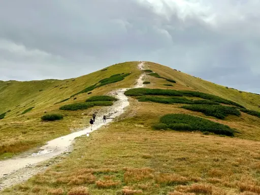 Szlak na górski szczyt. Idealny pomysł na plan "Zakopane w 3 dni co zwiedzić", gdy pogoda dopisuje.