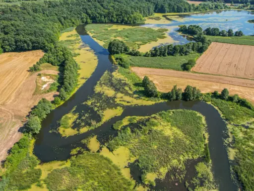 Malownicze, dzikie tereny z meandrującą rzeką i jeziorami. Idealne ciekawe miejsca 150 km od Warszawy na weekendowy wypad.