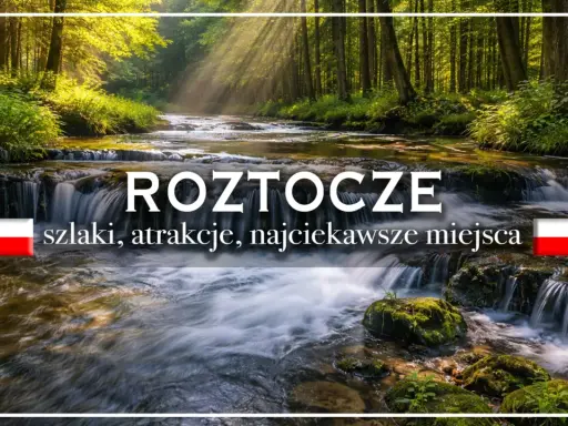 Roztocze: szlaki, atrakcje, najciekawsze miejsca. Malowniczy potok w lesie, promienie słońca przebijające się przez drzewa.