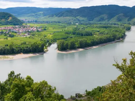Malownicza dolina Wachau z wijącą się rzeką, zielonymi winnicami i uroczą wioską.