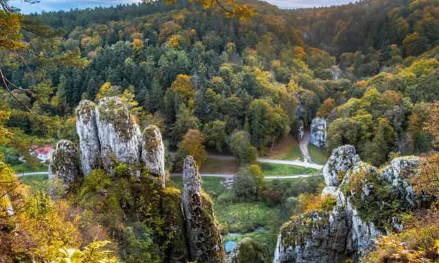 Ojcowski Park Narodowy w jesiennej odsłonie. Wapienne skały i kolorowy las tworzą malowniczy krajobraz. Ciekawostki przyrodnicze czekają na odkrycie.