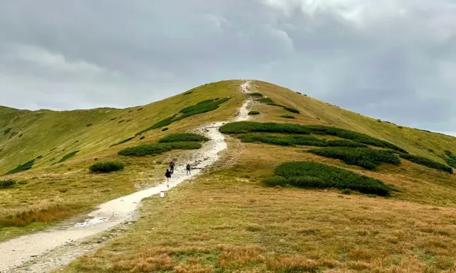 Szlak na górski szczyt. Idealny pomysł na plan "Zakopane w 3 dni co zwiedzić", gdy pogoda dopisuje.