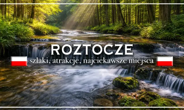 Roztocze: szlaki, atrakcje, najciekawsze miejsca. Malowniczy potok w lesie, promienie słońca przebijające się przez drzewa.