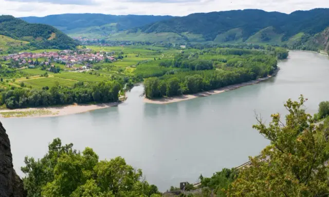 Malownicza dolina Wachau z wijącą się rzeką, zielonymi winnicami i uroczą wioską.