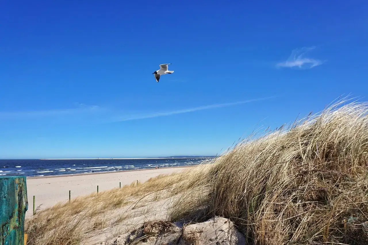 Porównanie plaż Świnoujście Międzyzdroje