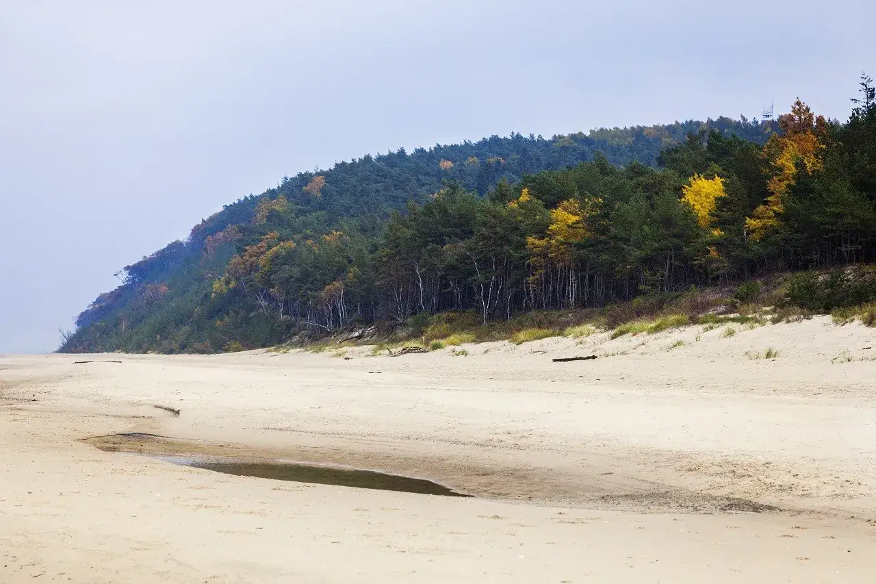 Plaża i las na zboczu klifu. Woliński Park Narodowy ciekawostki przyrodnicze zachwycają o każdej porze roku.