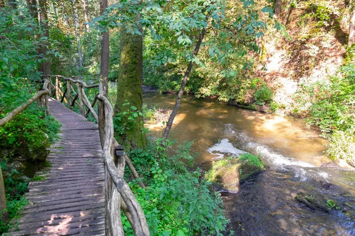 Drewniany mostek nad strumieniem w lesie, idealne miejsce na spacer i odkrywanie roztoczańskich atrakcji.